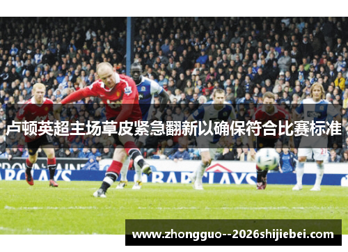 卢顿英超主场草皮紧急翻新以确保符合比赛标准